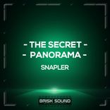 Artwork for "The Secret / Panorama"