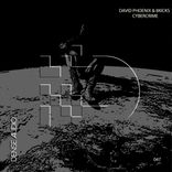 Artwork for "Cybercrime"