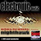 Artwork für "Electronic Nighthawk"