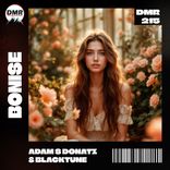 Artwork for "BONISE"