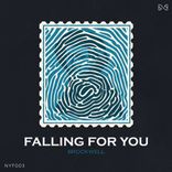 Artwork for "Falling For You EP"