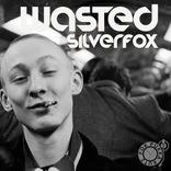 Portada para "Wasted"