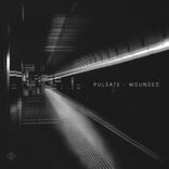 Artwork for "Wounded"