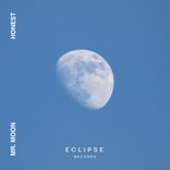 Artwork voor "Honest"