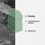 Artwork for "Prana"