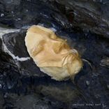 Artwork voor "Unissued Series, Pt. 2"