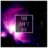 Artwork for "You Can't See"
