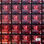 Artwork for "Shelter"