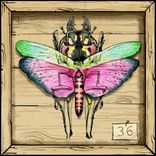 Artwork for "Kill Your Darlings"