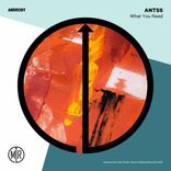 Artwork for "What You Need"