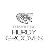 Artwork für "Hurdy Grooves"