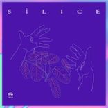 Artwork for "Silice (Un Compilado de Productores Mujeres Cis, Trans y No Binaries)"