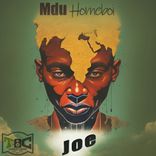 Artwork voor "Joe"
