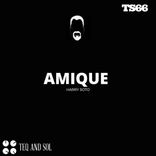 Artwork for "AMIQUE"