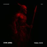 Artwork for "Tribal State"