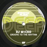 Artwork for "Groove to the Rhythm"