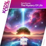 Artwork for "The Mystery of Life"