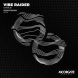 Artwork for "Vibe Raider"