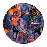 Artwork for "The Spirit Molecule"