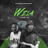 Artwork voor "Wela"