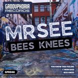 Portada para "Bees Knees"