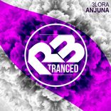 Artwork für "Anjuna"
