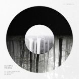 Artwork for "Visions"