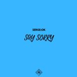 Artwork for "Say Sorry"