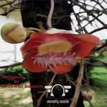 Artwork voor "Tropical Bazism"