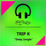 Artwork for "Deep Jungle"