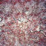 Artwork for "Dawn Chorus"