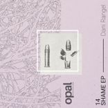 Portada para "Shame"