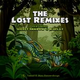 Portada para "The Lost Remixes"