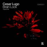 Portada para "Brain Lock"