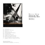 Rogue threat from the void