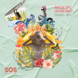 Portada para "Funktastic"