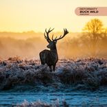 Artwork für "Buck Wild"