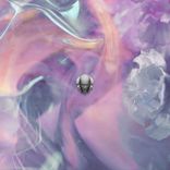 Artwork for "Amores"