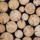 Artwork voor "Lumber"