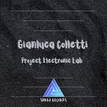 Project Electronic Lab 11