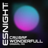 Artwork voor "Wonderful"