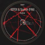 Artwork voor "Evolve"