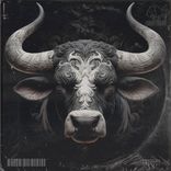 Artwork voor "Raider"