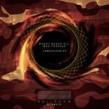 Artwork for "Camouflage"