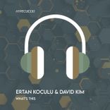 Artwork voor "What's This"