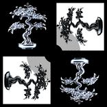 Artwork for "Bonsai"