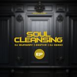 Portada para "Soul Cleansing"