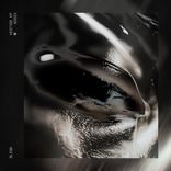 Artwork for "Vestige"