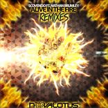 Artwork for "Alive In The Fire - The Remixes"