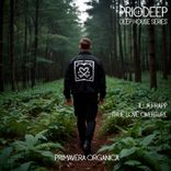 Artwork for "True Love Overture"